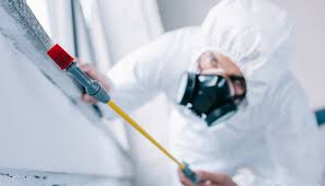 Best Residential Pest Control  in Auburndale, FL